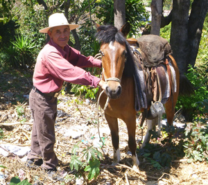 Pascual and his horse