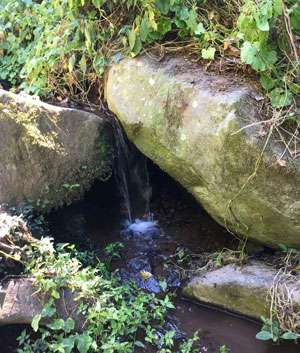 Photo of a small waterfall between two large rocks, surrounded by lush green vegetation